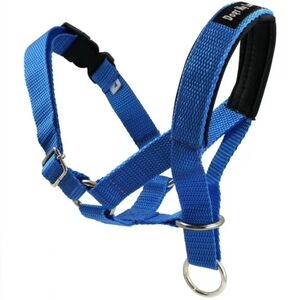 Blue Dog Harness by